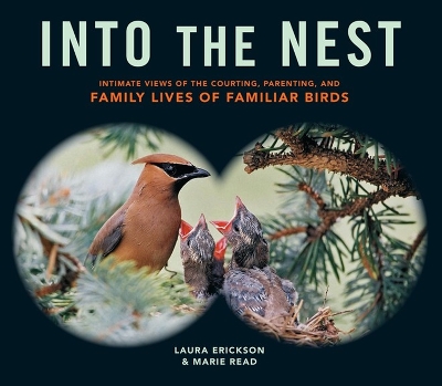 Book cover for Into the Nest