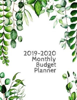 Book cover for 2019-2020 Monthly Budget Planner