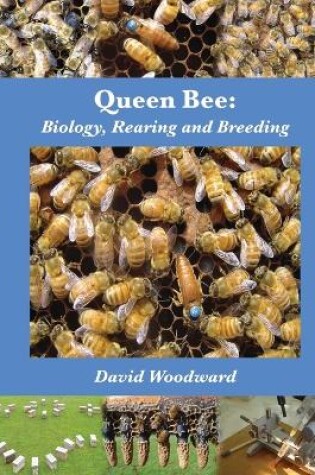 Cover of Queen Bee