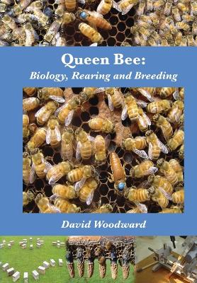 Book cover for Queen Bee