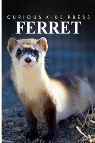 Cover of Ferret - Curious Kids Press