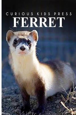 Book cover for Ferret - Curious Kids Press