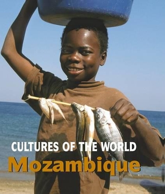 Book cover for Mozambique