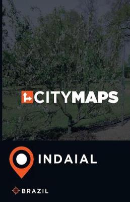 Book cover for City Maps Indaial Brazil