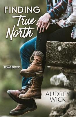 Book cover for Finding True North