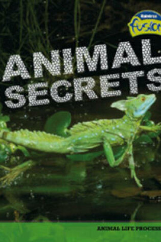 Cover of Animal Secrets