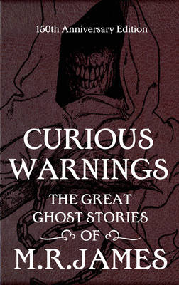 Book cover for Curious Warnings