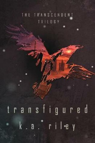Cover of Transfigured