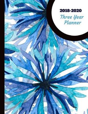 Book cover for 2018 - 2020 Picea Three Year Planner