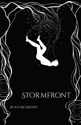 Book cover for Stormfront