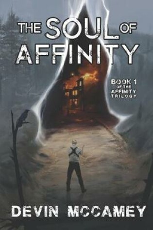 Cover of The Soul Of Affinity