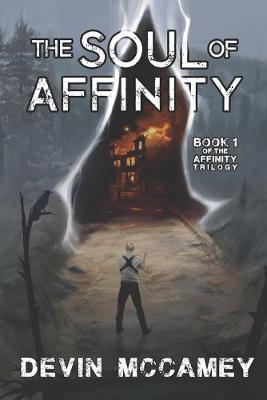 Book cover for The Soul Of Affinity