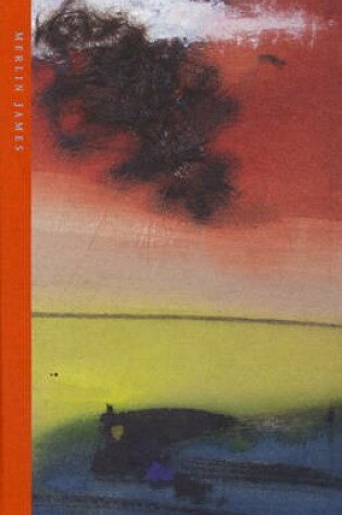 Cover of Merlin James: in the Gallery