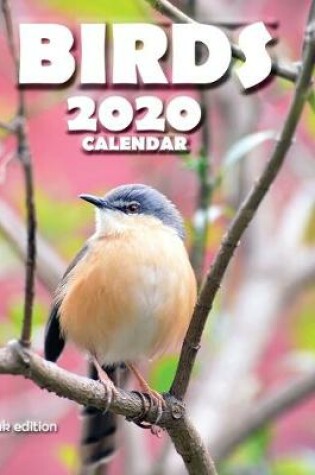 Cover of Birds 2020 Calendar (UK Edition)