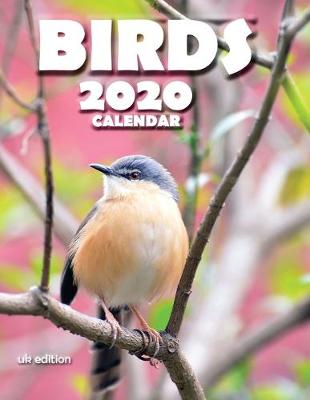 Book cover for Birds 2020 Calendar (UK Edition)