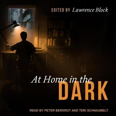 Book cover for At Home in the Dark