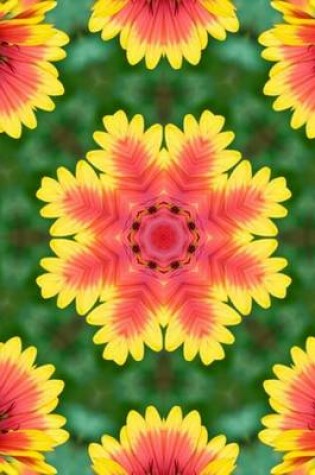 Cover of (Website Password Organizer) Kaleidoscope Image 7