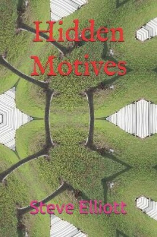 Cover of Hidden Motives