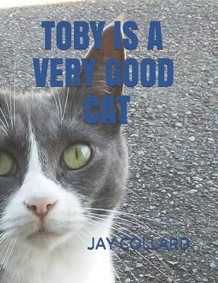 Book cover for Toby Is A Very Good Cat