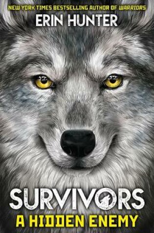 Cover of Survivors