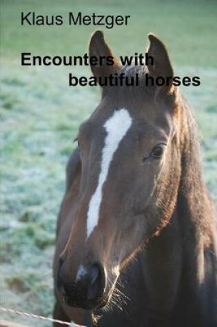 Cover of Encounters with beautiful horses