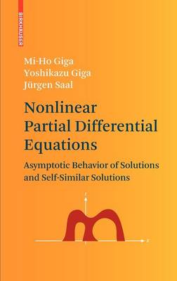 Book cover for Nonlinear Partial Differential Equations