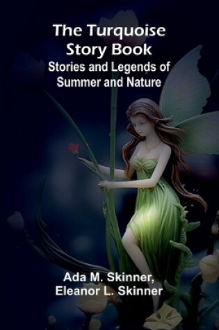 Cover of The Turquoise Story Book