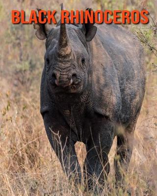 Book cover for Black Rhinoceros