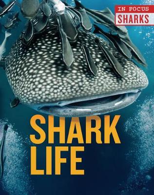 Book cover for Shark Life