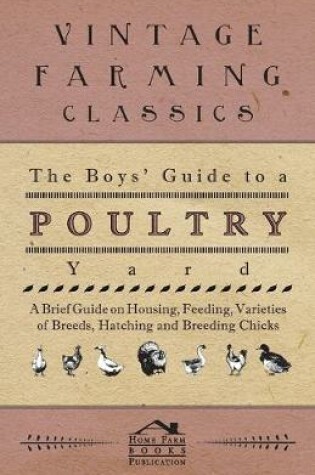 Cover of The Boys' Guide to a Poultry Yard - A Brief Guide on Housing, Feeding, Varieties of Breeds, Hatching and Breeding Chicks