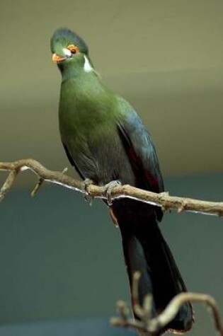 Cover of White-Cheeked Turaco Journal