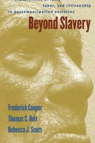 Cover of Beyond Slavery