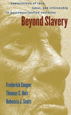 Book cover for Beyond Slavery