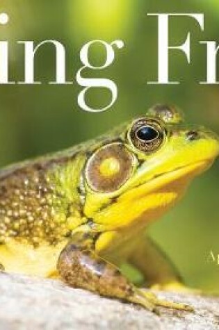 Cover of Being Frog