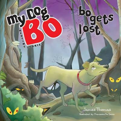 Book cover for Bo Gets Lost