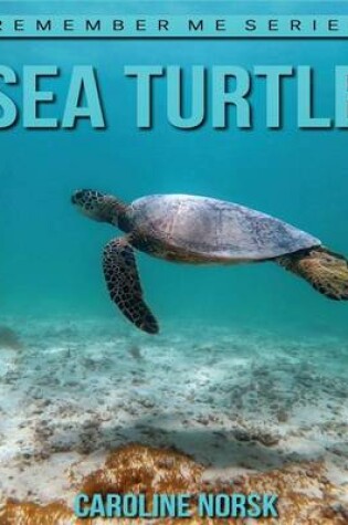 Cover of Sea Turtles