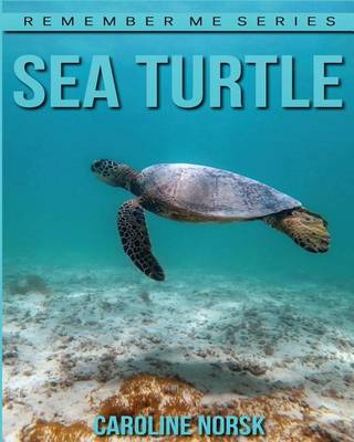 Book cover for Sea Turtles