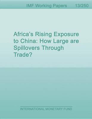 Book cover for Africa's Rising Exposure to China