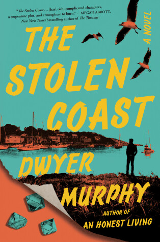 Book cover for The Stolen Coast