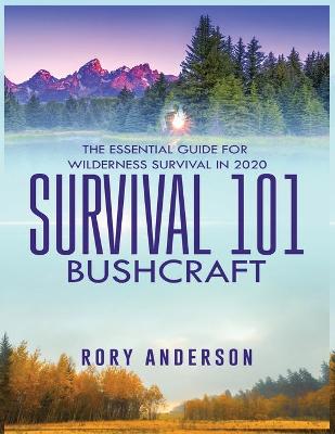 Book cover for Survival 101 Bushcraft