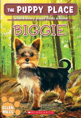 Book cover for Biggie