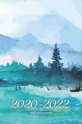 Cover of 2020-2022 three year planner