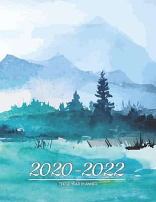 Book cover for 2020-2022 three year planner