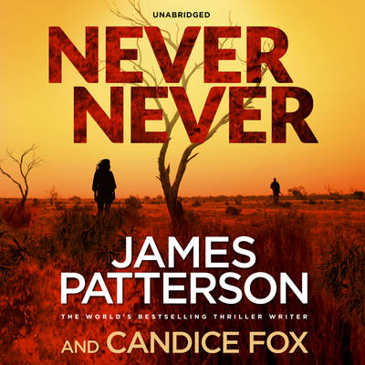 Book cover for Never Never