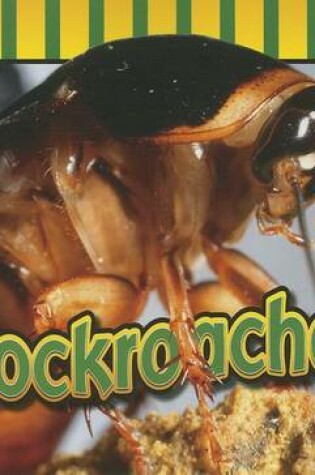 Cover of Cockroaches