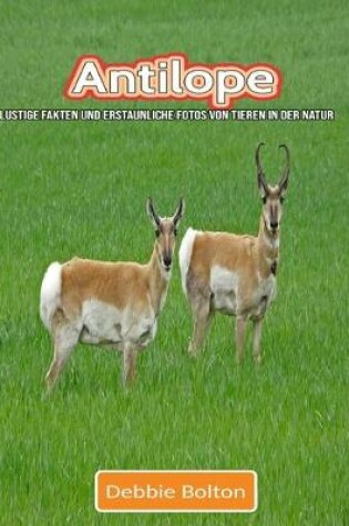 Cover of Antilope