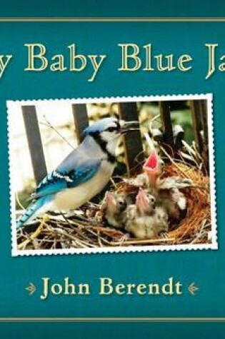 Cover of My Baby Blue Jays