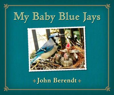 My Baby Blue Jays by 