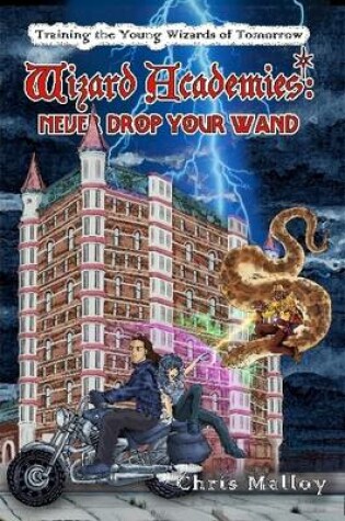 Cover of Wizard Academies - Never Drop Your Wand