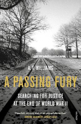 Book cover for A Passing Fury